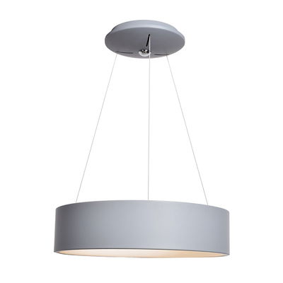 Radiant Dual Voltage LED Pendant in Gray