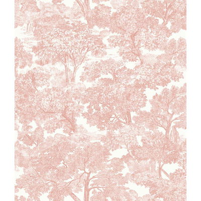 Chesapeake Spinney Rose Rose Toile Wallpaper