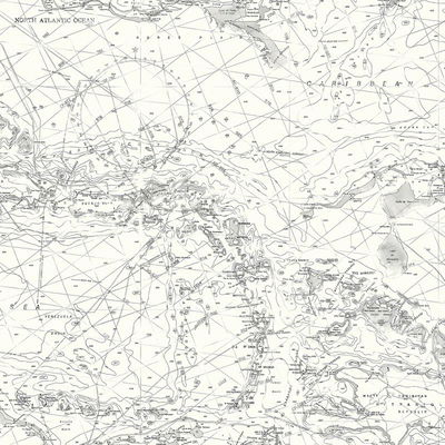 Chesapeake Charts Black Map Wallpaper
