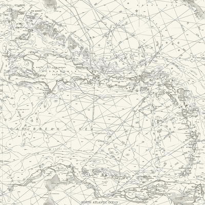 Chesapeake Charts Black Nautical Chart Wallpaper