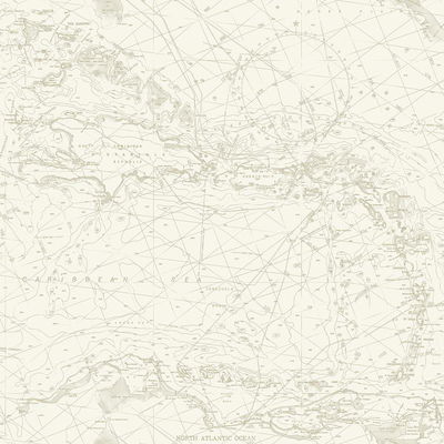 Chesapeake Charts Taupe Nautical Chart Wallpaper