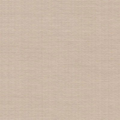Warner Magnitude Beige Chevron Wallpaper