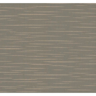 Warner Longitude Grey Striated Wallpaper