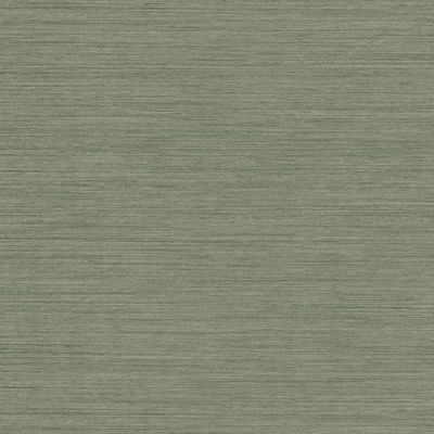 Warner Nira Green Fabric Weave Wallpaper