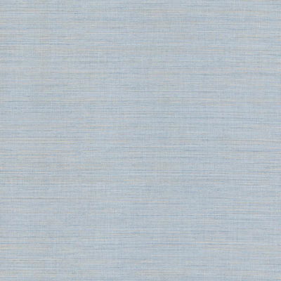 Warner Malik Blue Netting Wallpaper