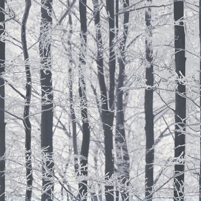 Arthouse Frosted Silver Winter Grove Wallpaper