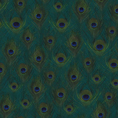 Origin Plumage Sapphire Peacock Feathers Wallpaper