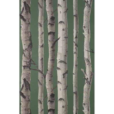 Fine Decor Chester Dark Green Birch Trees Wallpaper