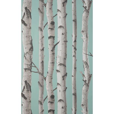 Fine Decor Chester Aqua Birch Trees Wallpaper