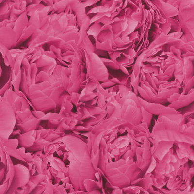 Rasch Rosenfield Pink Floral Wallpaper