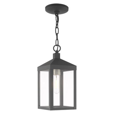 Nyack 1 Light Scandinavian Gray Outdoor Pendant Lantern