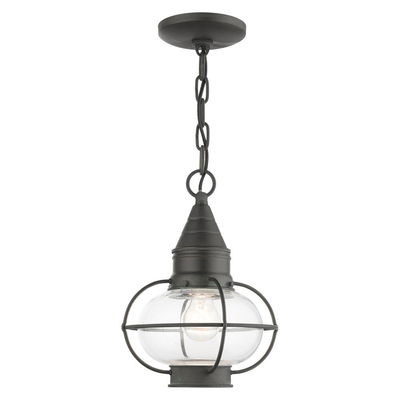 Newburyport 1 Light Charcoal Outdoor Pendant Lantern