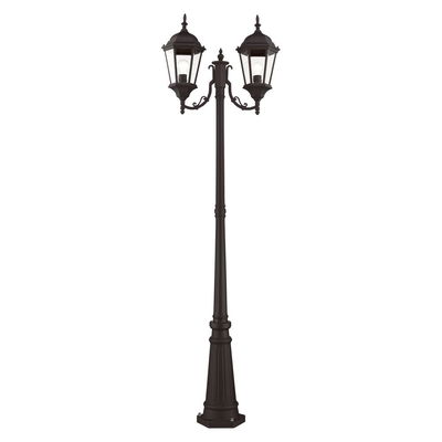Hamilton 2 Light Bronze Outdoor Post Light