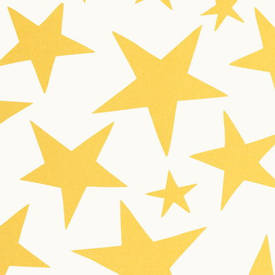 Sunshine Star Fabric