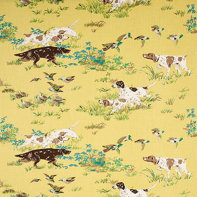 Yellow Pointers Fabric