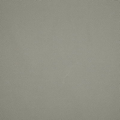 Sea Salt Constellation Indoor/Outdoor Fabric