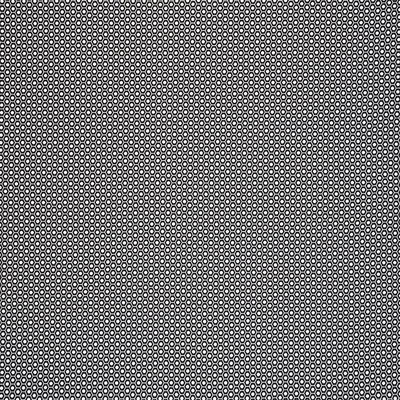 Black Queen B Ii Indoor/Outdoor Fabric
