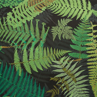 Green & Black Fernarium Fabric