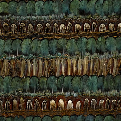 Cyprus Cayuga Panel