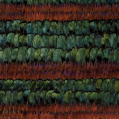 Peacock & Pheasant Grand Isle Panel