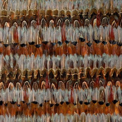 Jewel Wildwood Panel