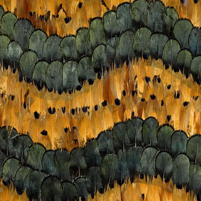 Citrine Golden Hill Panel