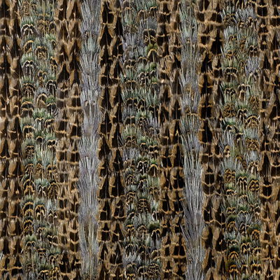Jade Saratoga Panel