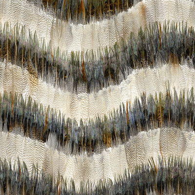 Birch Belle Isle Panel