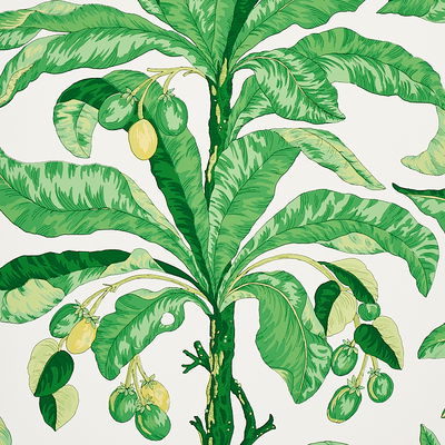 Green Blair House Palm Wallpaper