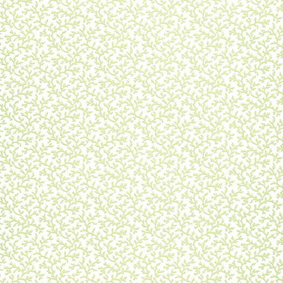 Aloe Coral Vine Wallpaper