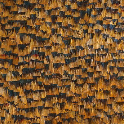 Lemon Citrine Panel