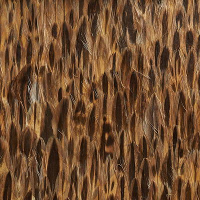 Coco Amber Panel