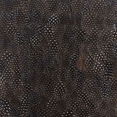 Black & White Titanium Panel