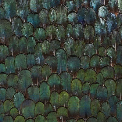 Forest Green Jade Panel