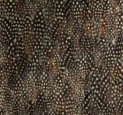 Black Pearl Krypton Panel
