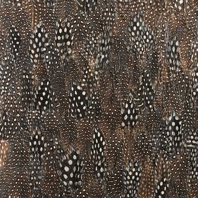 Black Pearl Graphite Panel