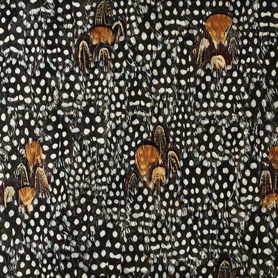 Coral Argentite Panel