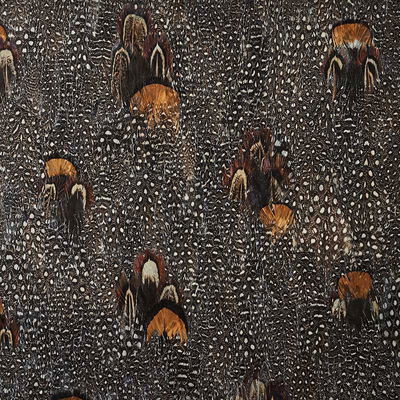 Coral Lodestone Panel