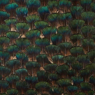 Moss Green Edenite Panel