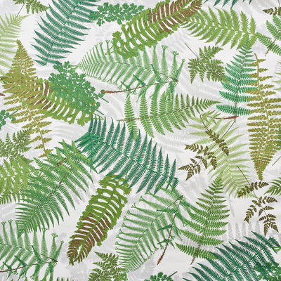 Ivory & Leaf Fernarium Wallpaper