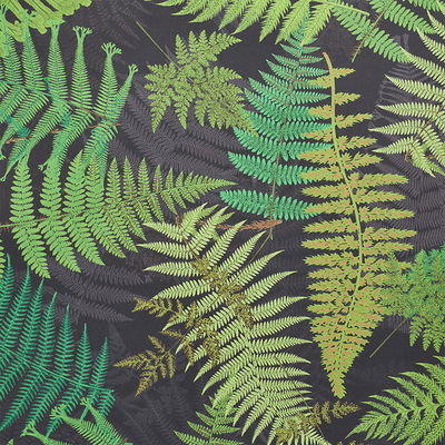 Black & Leaf Fernarium Wallpaper