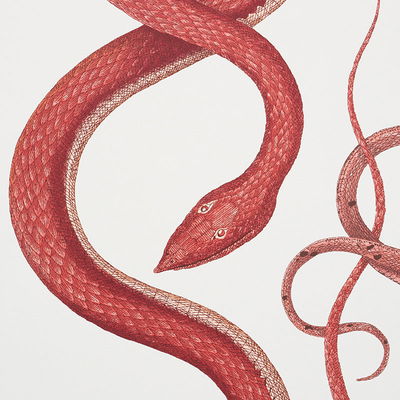Ruby & Garnet Giove Wallpaper