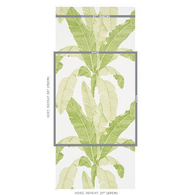 Leaf Erisimo Wallpaper