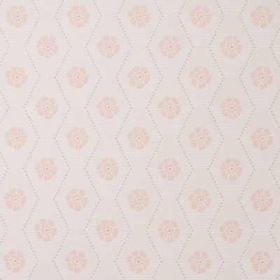 Blush Hive Bloom Wallpaper