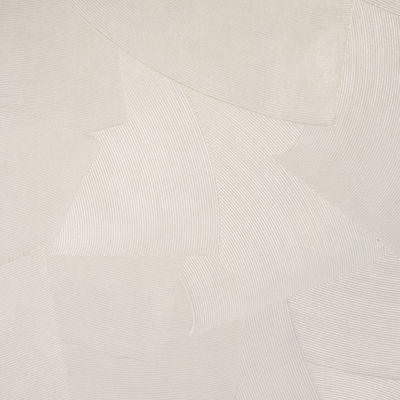 Cement Hand Combed Plaster Wallpaper