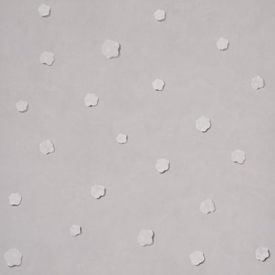 Gray Heavenly Bodies Wallpaper