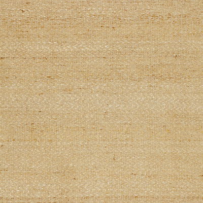 Ivory Vasur Silk Matka Fabric