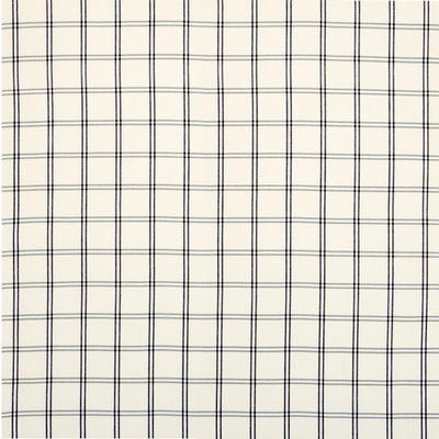 Black Luberon Plaid Fabric