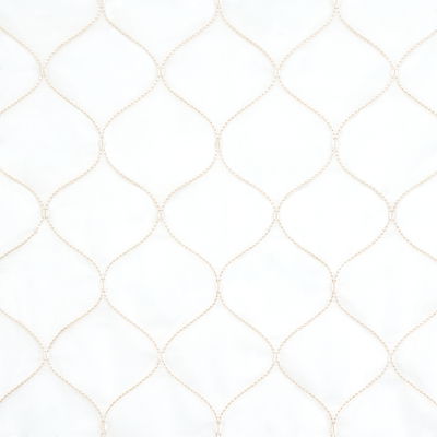 Sand Celena Sheer Embroidery Fabric