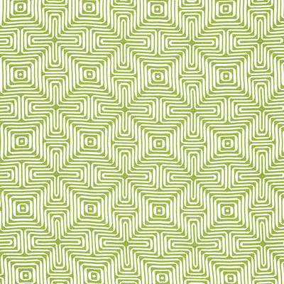 Palm Amazing Maze Indoor/Outdoor Fabric